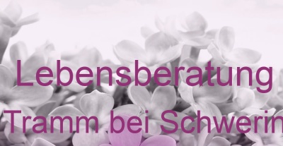 Lebensberatung Tramm bei Schwerin | Top-Experten für Kartenlegen, Wahrsagen, Hellsehen, Zukunftsdeutung. Lebensberatung Tramm bei Schwerin | Top-Experten für Kartenlegen, Wahrsagen, Hellsehen, Zukunftsdeutung.